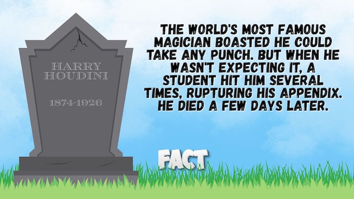 Dumb Ways To Die: Fact or Fiction image number null